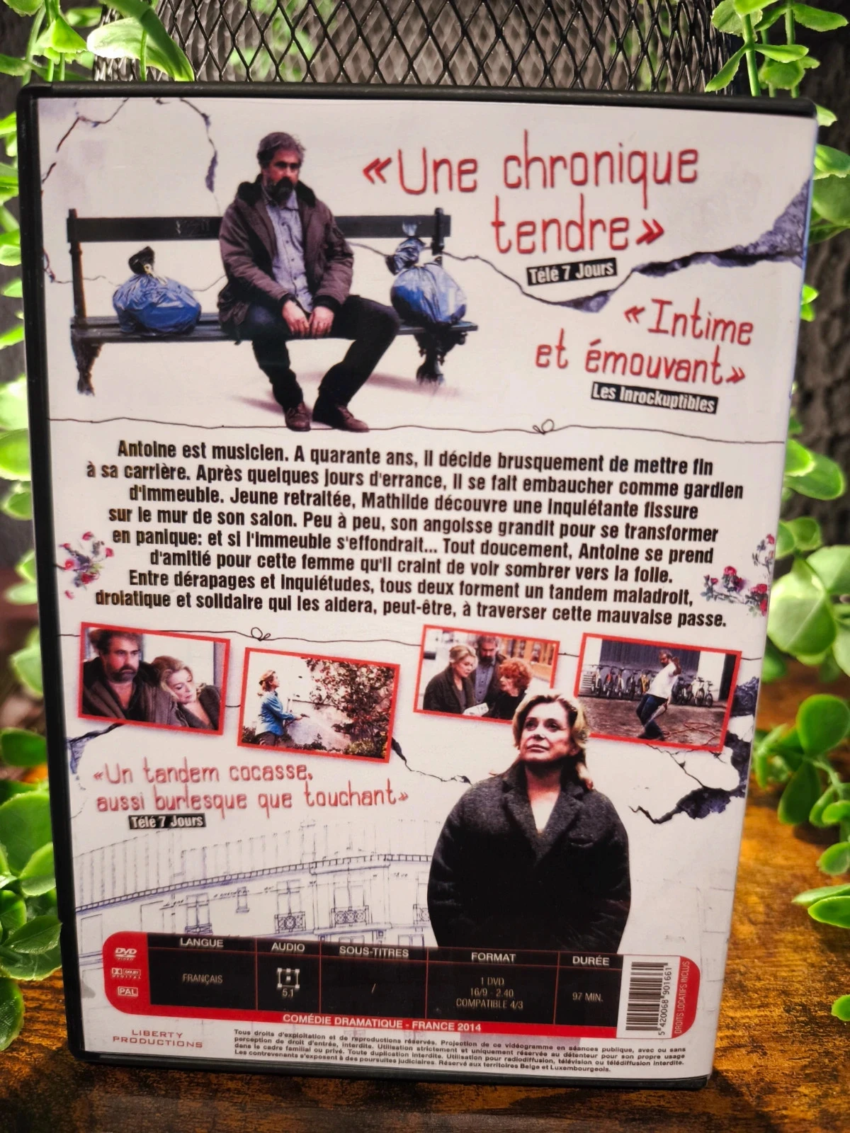 En la corte – photo 2